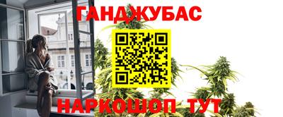 мяу мяу мука Новодвинск