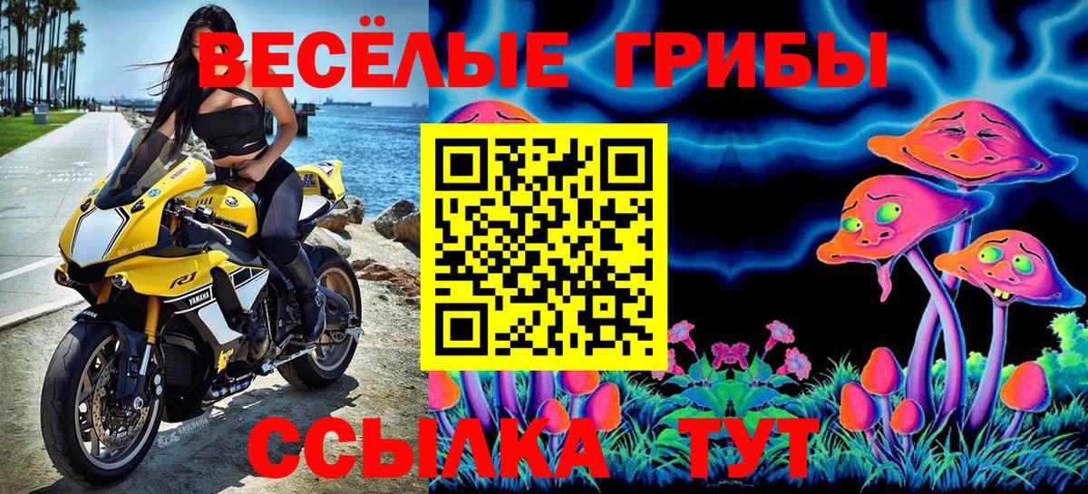 Псилоцибиновые грибы мухоморы Балтийск