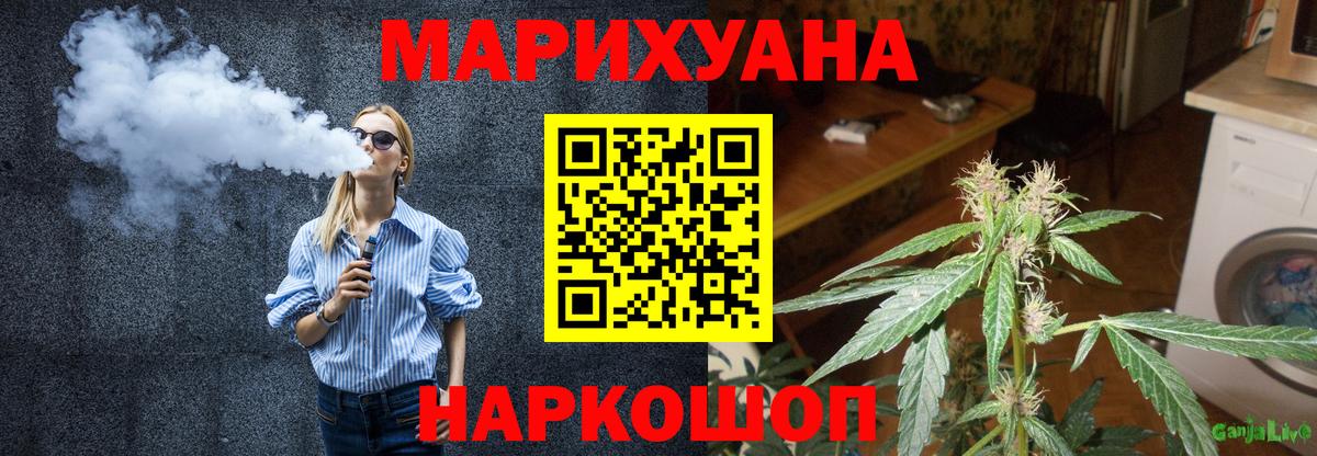 Канабис план Балтийск
