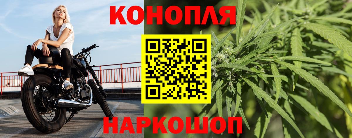 Бошки марихуана Ganja  Бошки Шишки Amnesia  Вход с VPN  Марихуана OG Kush  Бошки марихуана Bruce Banner  Балтийск 